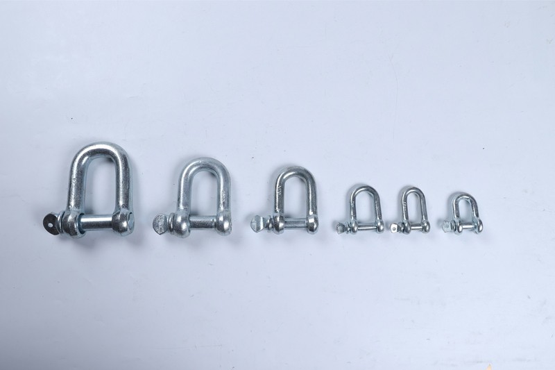 Galvanized European Type D Shackle