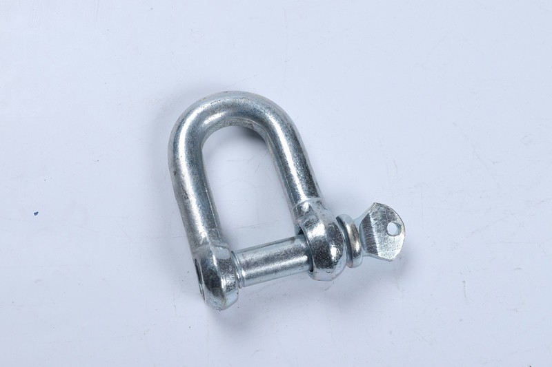 Galvanized European Type D Shackle